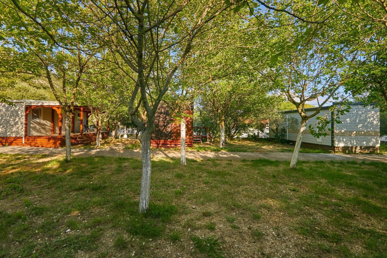 Mobile Homes Village "Mungos" Mljet Babino Polje Εξωτερικό φωτογραφία