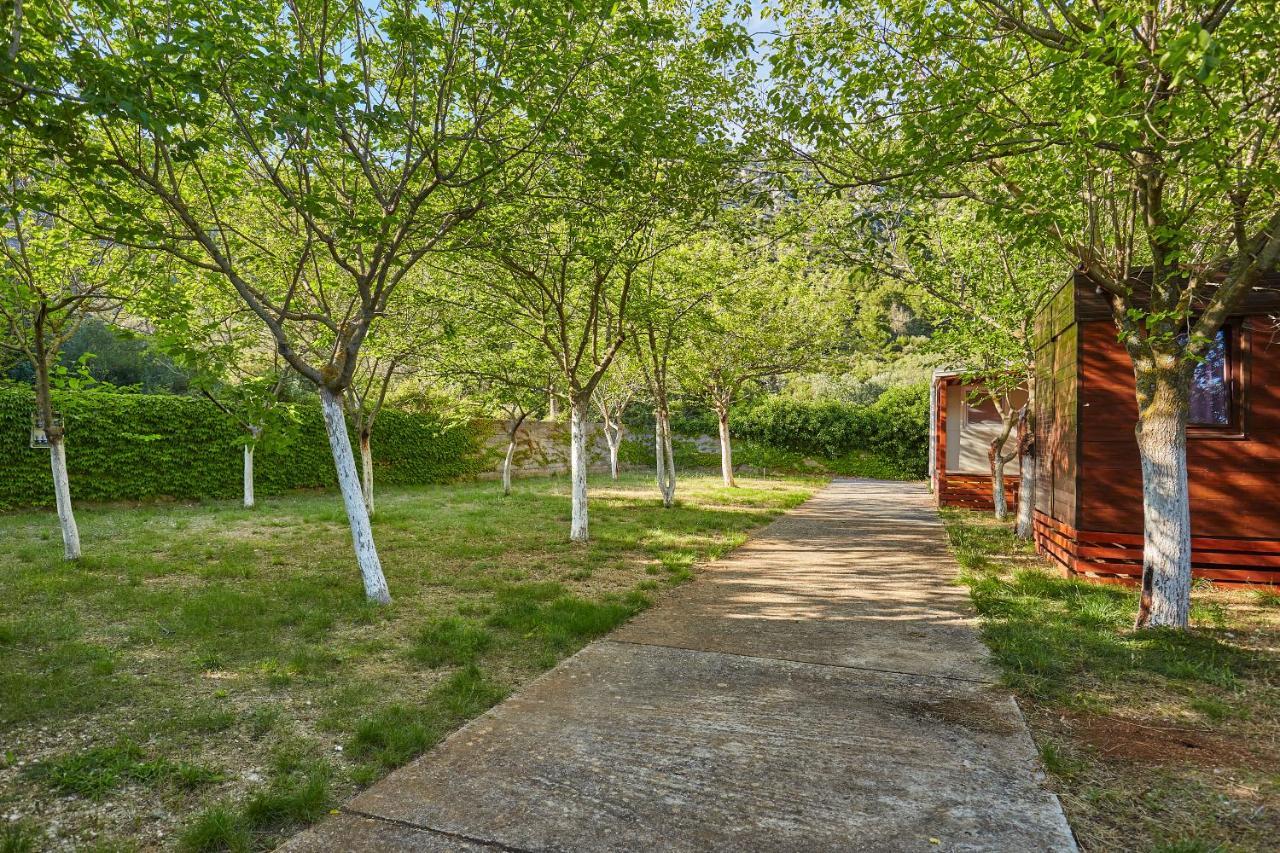 Mobile Homes Village "Mungos" Mljet Babino Polje Εξωτερικό φωτογραφία